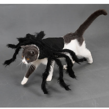 Spider Costume for Pets